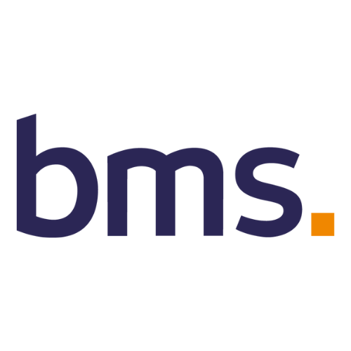 BMS Group